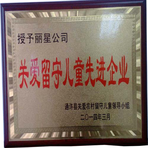 sthpzx公司留守儿童关爱先进企业