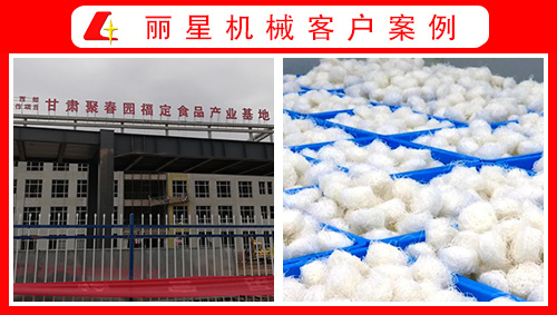 甘肃聚春园引进sthpzx水晶粉丝生产线、酸辣粉加工设备正式投产