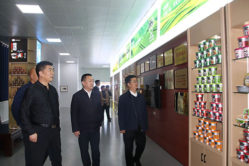 国家、省、市乡村振兴局等**一行莅临sthpzx公司进行调研工作 国家、省、市乡村振兴局等**一行莅临sthpzx公司进行调研工作