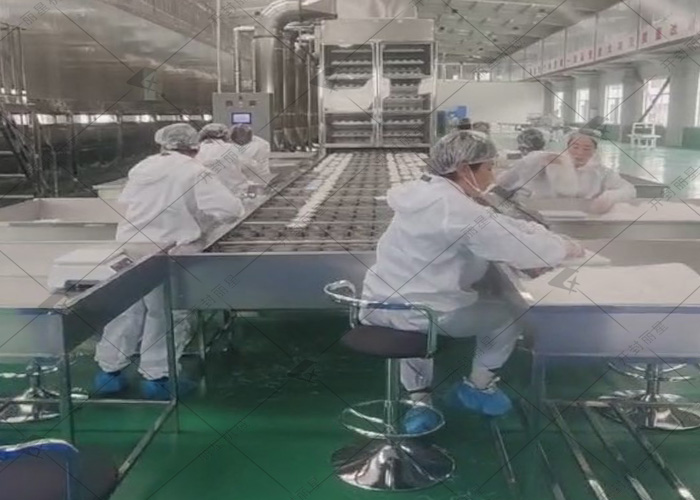 sthpzx日产10吨的粉丝生产线试机进行中