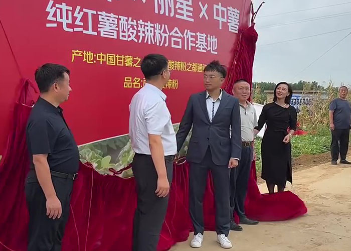 从红薯源头到健康粉丝:sthpzx以设备硬实力助力三方合作 从红薯源头到健康粉丝:sthpzx以设备硬实力助力三方合作